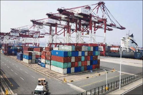 2024年2月貨物進(jìn)出口6.2%增長解析